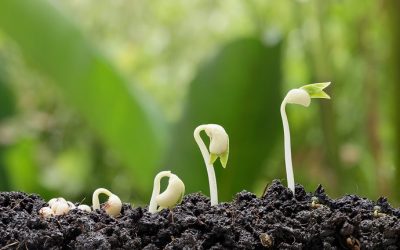 Blog 9 Lessons from Global Health Development: Insights from Four Change Models