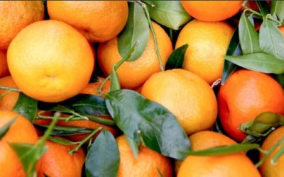 Blog 9 Direct Support Works! Care Navigators Improve Outcomes Save $$$