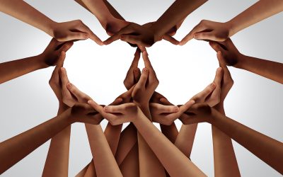 Blog 15 Stand Firm: Lean Into Bias Training