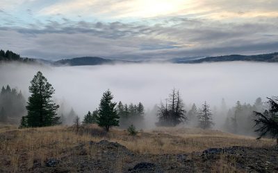 Blog 3 Free thinking and creative thought is key to a balanced life