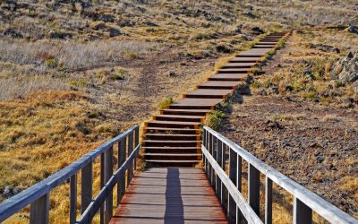 Blog 8 6 factors that will make or break your career transition journey