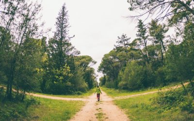 Blog 6 The Secret to Life