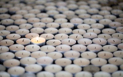 Using Personal Resilience to Build Organizational Resilience