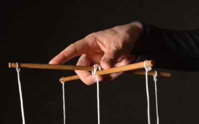 Blog 13 Toxic leaders lead by division, diversion, and dissension